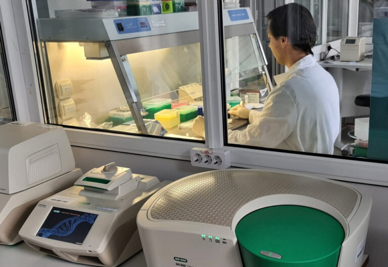 В РФ в 2024 году могут создать первичный эталон единицы числа копий последовательности ДНК