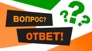 «А что, а где, а как, а зачем, а почему?»