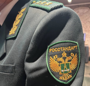 Особенности осуществления госконтроля в 2023 году обсудили в Нижнем Новгороде
